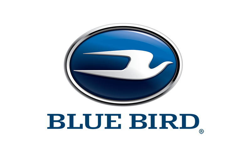 Blue Bird